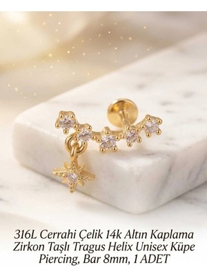 Begonia Accessories 316L Cerrahi Çelik Altın Kaplama Kararmaz Alerji Yapmaz Zirkon Taş Figür Unisex Tragus Helix Küpe Piercing A106-18