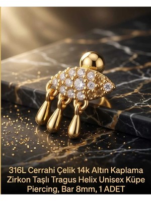Begonia Accessories 316L Cerrahi Çelik Altın Kaplama Kararmaz Alerji Yapmaz Zirkon Taş Figür Unisex Tragus Helix Küpe Piercing A106-19