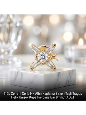 Begonia Accessories 316L Cerrahi Çelik Altın Kaplama Kararmaz Alerji Yapmaz Zirkon Taş Figür Unisex Tragus Helix Küpe Piercing A106-2