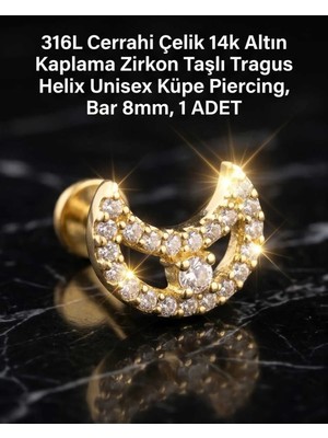 Begonia Accessories 316L Cerrahi Çelik Altın Kaplama Kararmaz Alerji Yapmaz Zirkon Taş Figür Unisex Tragus Helix Küpe Piercing A106-20