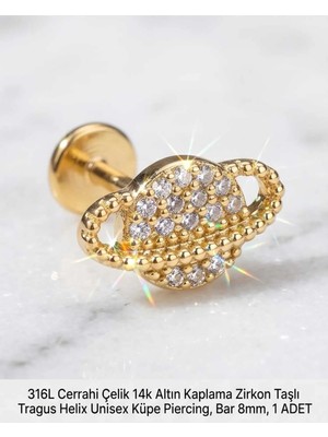 Begonia Accessories 316L Cerrahi Çelik Altın Kaplama Kararmaz Alerji Yapmaz Zirkon Taş Figür Unisex Tragus Helix Küpe Piercing A106-27