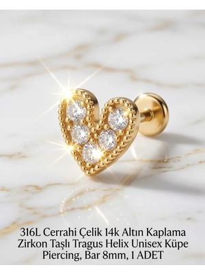 Begonia Accessories 316L Cerrahi Çelik Altın Kaplama Kararmaz Alerji Yapmaz Zirkon Taş Figür Unisex Tragus Helix Küpe Piercing A106-33