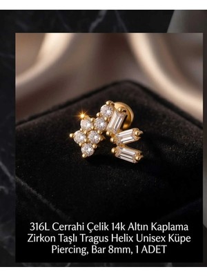 Begonia Accessories 316L Cerrahi Çelik Altın Kaplama Kararmaz Alerji Yapmaz Zirkon Taş Figür Unisex Tragus Helix Küpe Piercing A106-39