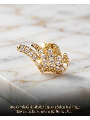 Begonia Accessories 316L Cerrahi Çelik Altın Kaplama Kararmaz Alerji Yapmaz Zirkon Taş Figür Unisex Tragus Helix Küpe Piercing A106-40