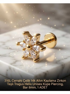 Begonia Accessories 316L Cerrahi Çelik Altın Kaplama Kararmaz Alerji Yapmaz Zirkon Taş Figür Unisex Tragus Helix Küpe Piercing A106-47