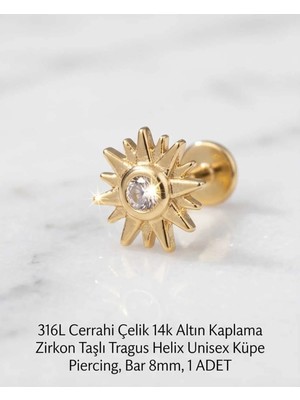 Begonia Accessories 316L Cerrahi Çelik Altın Kaplama Kararmaz Alerji Yapmaz Zirkon Taş Figür Unisex Tragus Helix Küpe Piercing A106-5