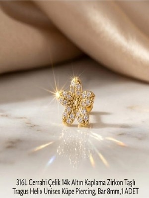 Begonia Accessories 316L Cerrahi Çelik Altın Kaplama Kararmaz Alerji Yapmaz Zirkon Taş Figür Unisex Tragus Helix Küpe Piercing A106-6