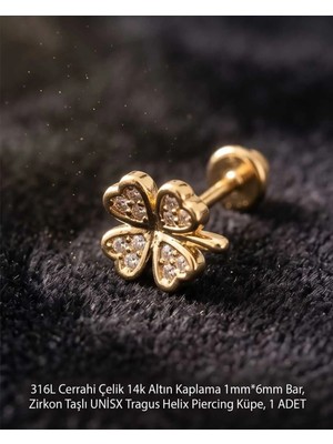 Begonia Accessories 316L Cerrahi Çelik Altın Kaplama Kararmaz Alerji Yapmaz Zirkon Taş Figür Unisex Tragus Helix Küpe Piercing A429-11