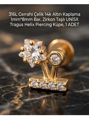 Begonia Accessories 316L Cerrahi Çelik Altın Kaplama Kararmaz Alerji Yapmaz Zirkon Taş Figür Unisex Tragus Helix Küpe Piercing A429-14