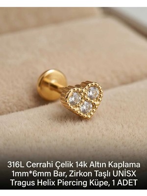Begonia Accessories 316L Cerrahi Çelik Altın Kaplama Kararmaz Alerji Yapmaz Zirkon Taş Figür Unisex Tragus Helix Küpe Piercing A429-20