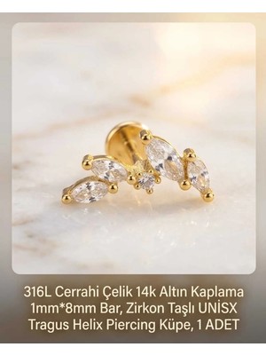 Begonia Accessories 316L Cerrahi Çelik Altın Kaplama Kararmaz Alerji Yapmaz Zirkon Taş Figür Unisex Tragus Helix Küpe Piercing A429-25