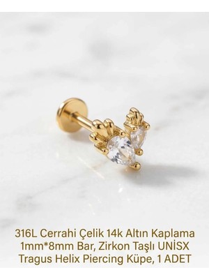 Begonia Accessories 316L Cerrahi Çelik Altın Kaplama Kararmaz Alerji Yapmaz Zirkon Taş Figür Unisex Tragus Helix Küpe Piercing A429-35