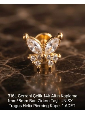 Begonia Accessories 316L Cerrahi Çelik Altın Kaplama Kararmaz Alerji Yapmaz Zirkon Taş Figür Unisex Tragus Helix Küpe Piercing A429-40