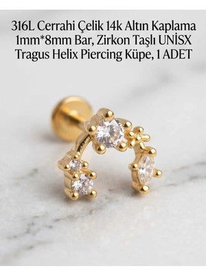 Begonia Accessories 316L Cerrahi Çelik Altın Kaplama Kararmaz Alerji Yapmaz Zirkon Taş Figür Unisex Tragus Helix Küpe Piercing A429-43