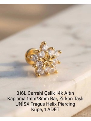 Begonia Accessories 316L Cerrahi Çelik Altın Kaplama Kararmaz Alerji Yapmaz Zirkon Taş Figür Unisex Tragus Helix Küpe Piercing A429-46