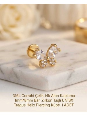 Begonia Accessories 316L Cerrahi Çelik Altın Kaplama Kararmaz Alerji Yapmaz Zirkon Taş Figür Unisex Tragus Helix Küpe Piercing A429-49