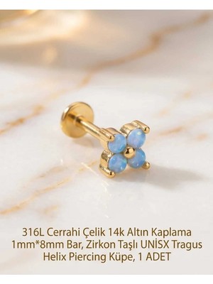 Begonia Accessories 316L Cerrahi Çelik Altın Kaplama Kararmaz Alerji Yapmaz Zirkon Taş Figür Unisex Tragus Helix Küpe Piercing A429-51