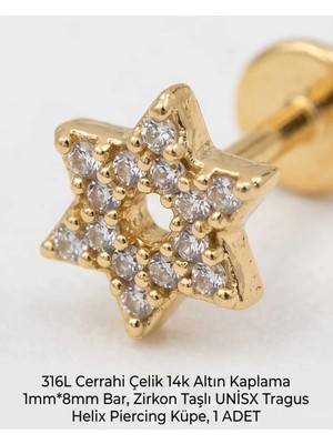Begonia Accessories 316L Cerrahi Çelik Altın Kaplama Kararmaz Alerji Yapmaz Zirkon Taş Figür Unisex Tragus Helix Küpe Piercing A429-53