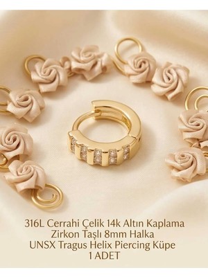 Begonia Accessories 316L Cerrahi Çelik Altın Kaplama Kararmaz Alerji Yapmaz Zirkon Taş Figür 1 Adet Unisex Minimal Halka Tragus Helix Küpe Piercing A503-10