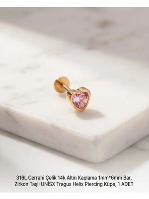 Begonia Accessories 316L Cerrahi Çelik Altın Kaplama Kararmaz Alerji Yapmaz Zirkon Taş Figür Unisex Tragus Helix Küpe Piercing A429-24