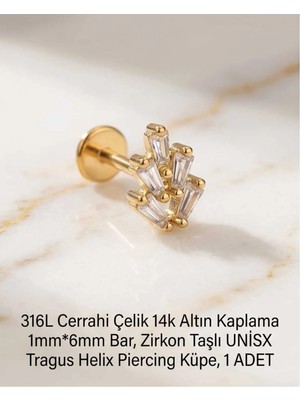 Begonia Accessories 316L Cerrahi Çelik Altın Kaplama Kararmaz Alerji Yapmaz Zirkon Taş Figür Unisex Tragus Helix Küpe Piercing A429-9