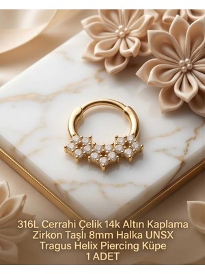 Begonia Accessories 316L Cerrahi Çelik Altın Kaplama Kararmaz Alerji Yapmaz Zirkon Taş Figür 1 Adet Unisex Minimal Halka Tragus Helix Küpe Piercing A503-17