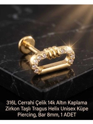 Begonia Accessories 316L Cerrahi Çelik Altın Kaplama Kararmaz Alerji Yapmaz Zirkon Taş Figür Unisex Tragus Helix Küpe Piercing A106-25