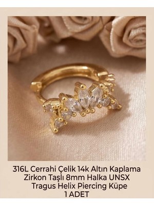 Begonia Accessories 316L Cerrahi Çelik Altın Kaplama Kararmaz Alerji Yapmaz Zirkon Taş Figür 1 Adet Unisex Minimal Halka Tragus Helix Küpe Piercing A503-20