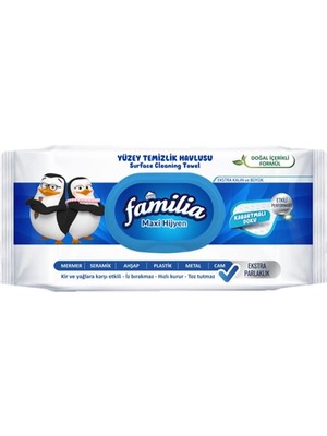 Familia Yüzey Temizlik Havlusu