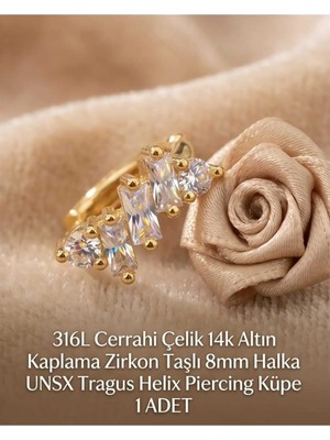 Begonia Accessories 316L Cerrahi Çelik Altın Kaplama Kararmaz Alerji Yapmaz Zirkon Taş Figür 1 Adet Unisex Minimal Halka Tragus Helix Küpe Piercing A503-25