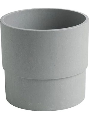 Odea Nypon Bitki Saksısı, 12 Cm, Açık Hava Gri
