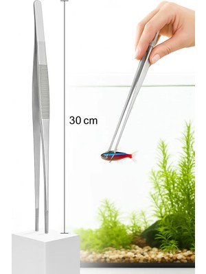 Aycer Uzun 30 cm Çelik Cımbız - Akvaryum Maşası