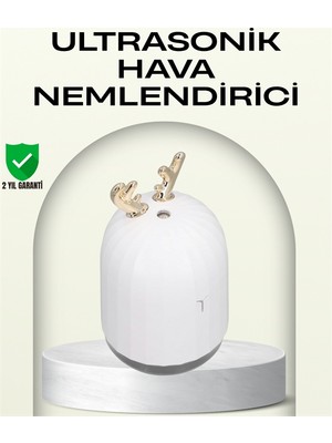 Derin Stok Abs+Pp Malzemeli Taşınabilir 220 ml USB Mist Nemlendirici