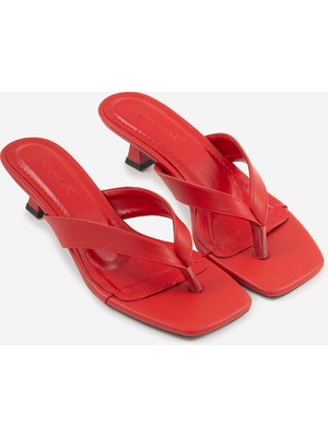 Shoemark Miora Kırmızı  Suni Deri  Kare Burun  Parmak Arası Kadın Terlik