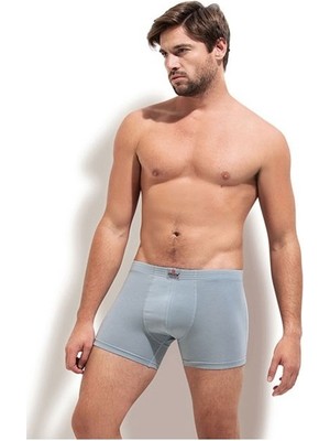 Erdem 1420 Erkek Boxer Tekli