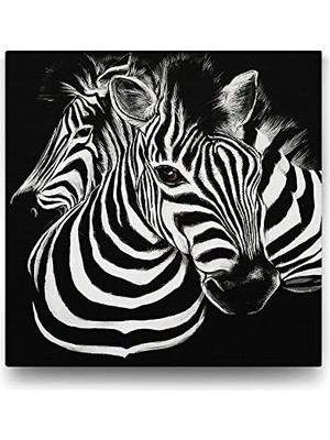 Siyah Beyaz Zebra Tablosu - 60X60CM
