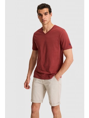 U.S. Polo Assn. Erkek Reguar Fit V Yaka Vişne Basic Tişört 50326944-VR223