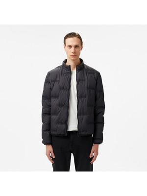 Lacoste Erkek Dik Yaka Kapitone Siyah Mont