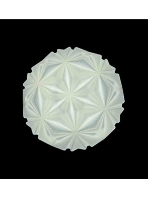 Ookay Led 24W Kristal Çiçek Panel 2 Li Beyaz