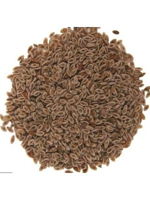 Karakız Karnıyarık Otu Tohumu Dökme 750 Gr