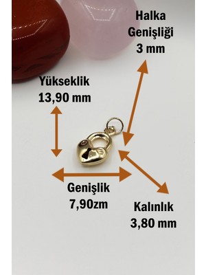 Diamine Pırlanta 14 Ayar Altın Kilitli Kalp Kolye Ucu