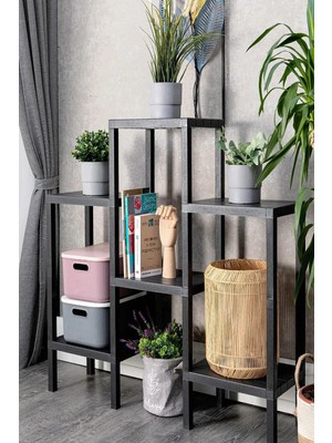 Bayev Shelf Piramit 6 Lı Raf Ünitesi Siyah Çiçeklik Banyo Mutfak Rafı Ayakkabılık Kitaplık Organizer