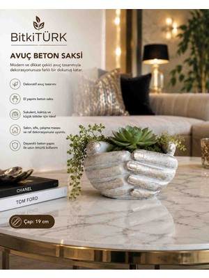🤲✨ Avuç Beton Saksı | El Yapımı Dekoratif Saksı | 19 cm | Bitkitürk ✨🤲