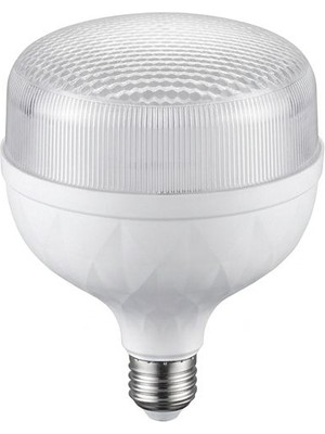 Ledsone 50W Torch Ampül