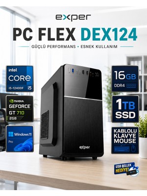 Exper Pc Flex DEX124 Intel Core I5-12400F 16 GB Ddr4 1 Tb SSD Nvidia Geforce GT710 2 GB Windows 11 Pro Masaüstü Bilgisayar DEX124RNP02