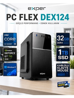 Exper Pc Flex DEX124 Intel Core I5-12400F 32 GB Ddr4 1 Tb SSD Nvidia Geforce GT710 2 GB Windows 11 Pro Masaüstü Bilgisayar DEX124RNP05