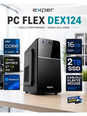Exper Pc Flex DEX124 Intel Core I5-12400F 16 GB Ddr4 2 Tb SSD Nvidia Geforce GT710 2 GB Windows 11 Pro Masaüstü Bilgisayar DEX124RNP03