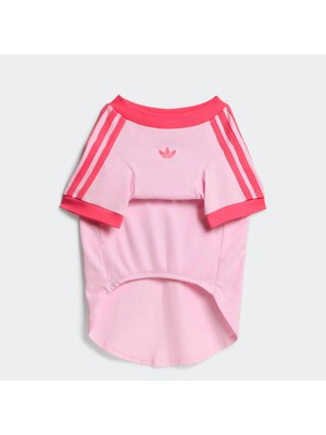 Adidas Originals Pembe Pet Cali Tişört (KY8729)