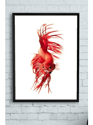 Elivora (PSTER13190) Sanatsal Balık Hayvan Çerçeveli Tablo 4 (30 x 40CM)