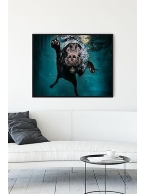 Elivora (PSTER14010) Yüzen Köpek Eğlenceli Mizahi Çerçeveli Tablo (50X70CM)